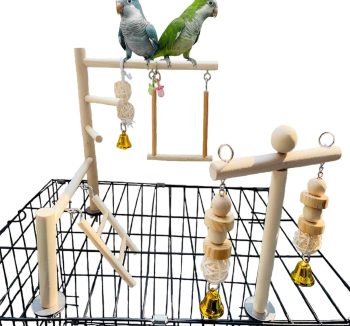 bird toys hanging