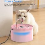 cat accessories cute