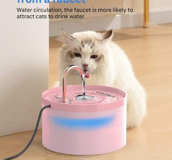 cat accessories cute