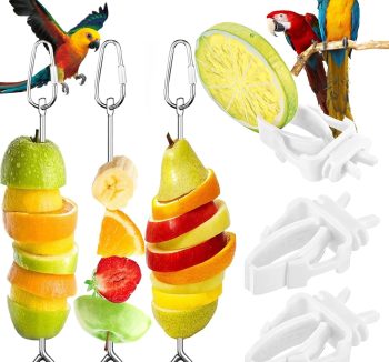 bird treats healthy