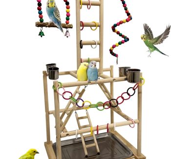 bird cage play top