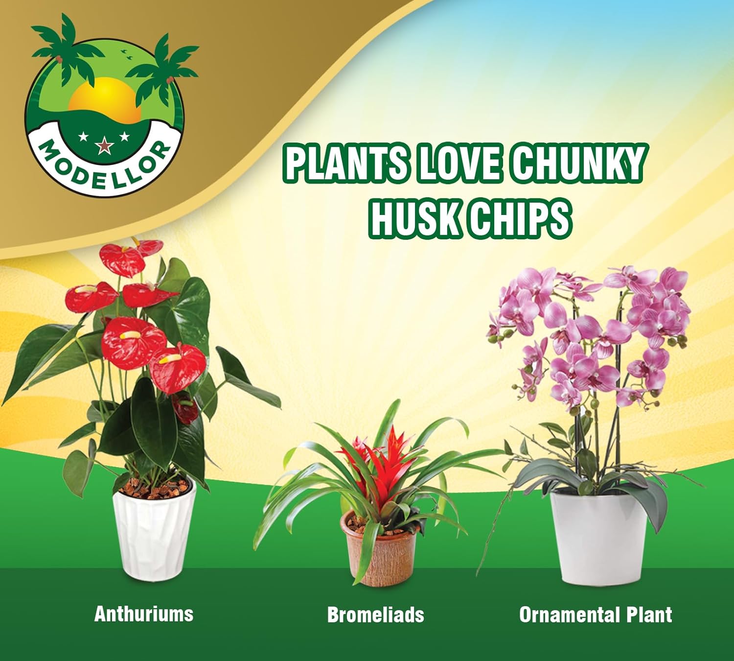 MODELLOR Premium Super Washed, Clean, Coco Chips, 2 Bricks (2.2 lb.) yields 14 Qts. of Loose Chips. Plant Substrate, Organic, Reptile Bedding, Odor Absorbing, Grow Orchids, Mulch Indoor, Outdoor. - Happypetzone.online - Image 6