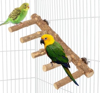 bird ladder perch