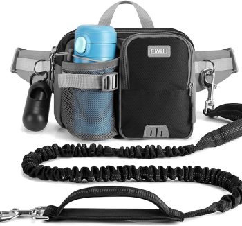 dog walking accessories
