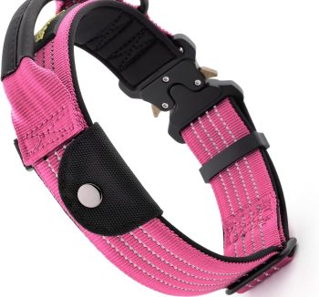 reflective dog collar