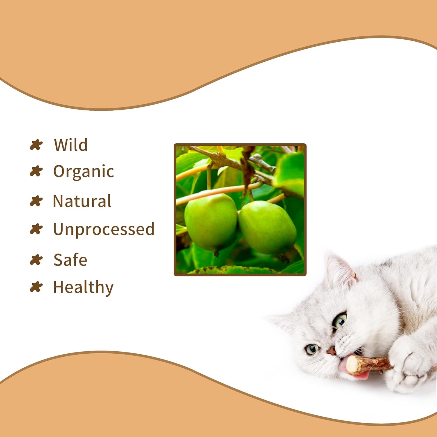 [ 15pcs Silvervine Sticks for Cats, Matatabi Cat Chew Sticks, Catnip Toys, Wooden Dental Sticks for Indoor Cats, Kitty, Kitten Teething Interactive Wand Toys - Happypetzone.online - Image 3