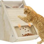 cat reward treats