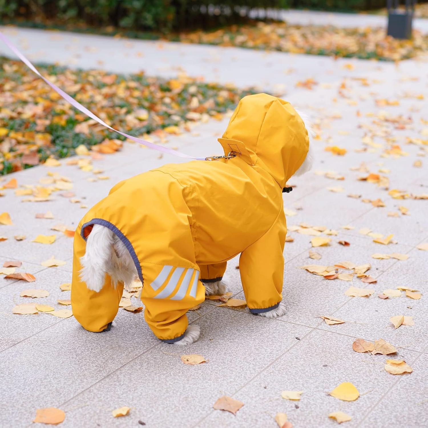 Dog Raincoat, Waterproof Dog Rain Jacket with Hood, Rain Coat with Leash Hole, Reflective Strap for Small Medium Dogs, Outdoor Adventures/Walking Lightweight Puppy (Yellow,M) - Happypetzone.online - Image 4