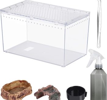 small reptile tank