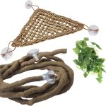 reptile climbing branch
