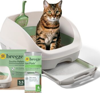 cat litter box system