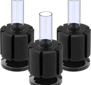 sponge filter aquarium