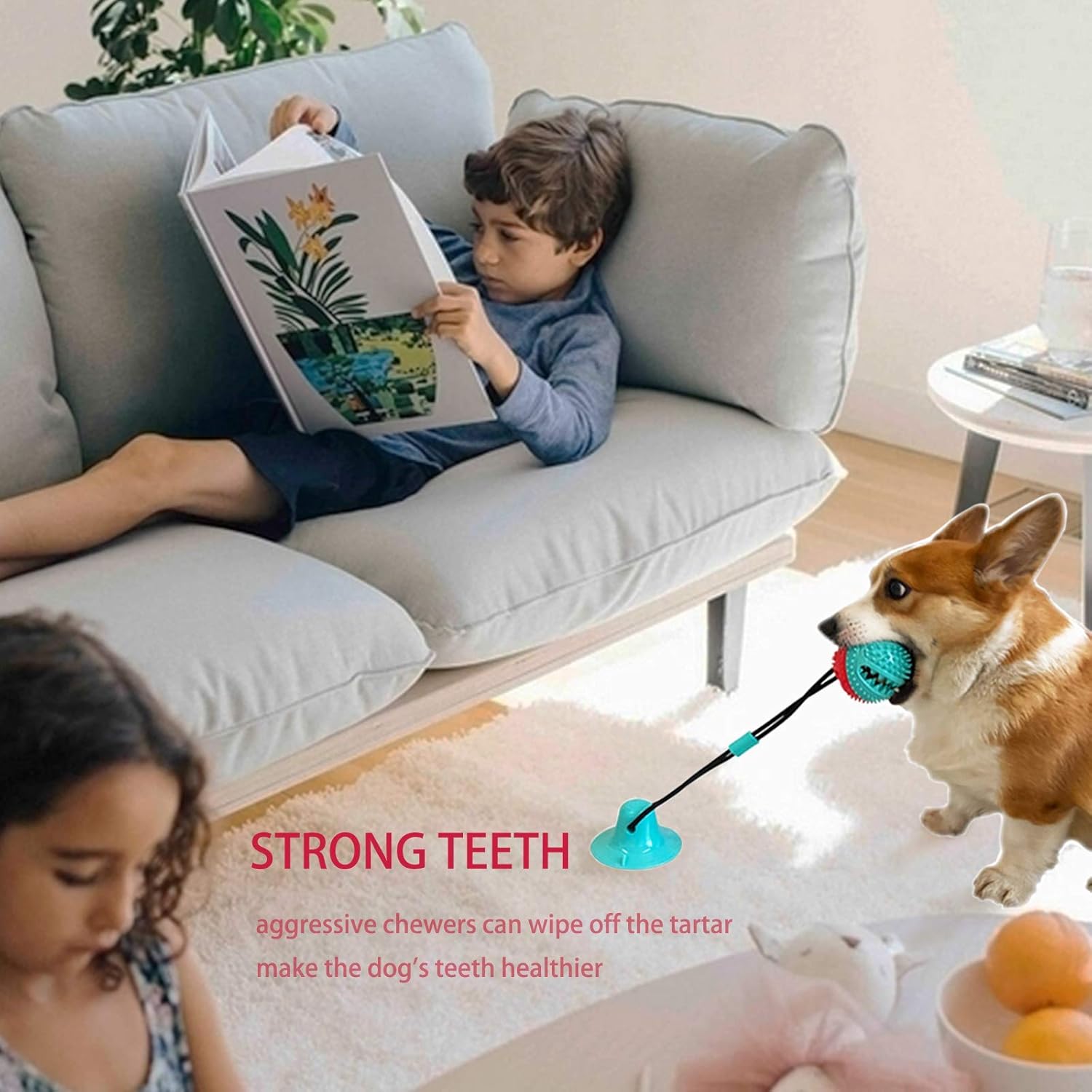 Askhald Dog Toys Chew Toys for Aggressive chewers, Puppy Training Treats Teething Rope Toys for Boredom Dog Puzzle Treat Food Dispensing Ball Toys for Puppies Teething (Blue) - Happypetzone.online - Image 5