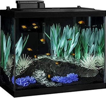 fish tank cheap amazon