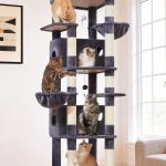 cat tower multi level