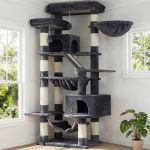 cat tree for multiple cats