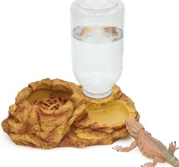 reptile food starter kit