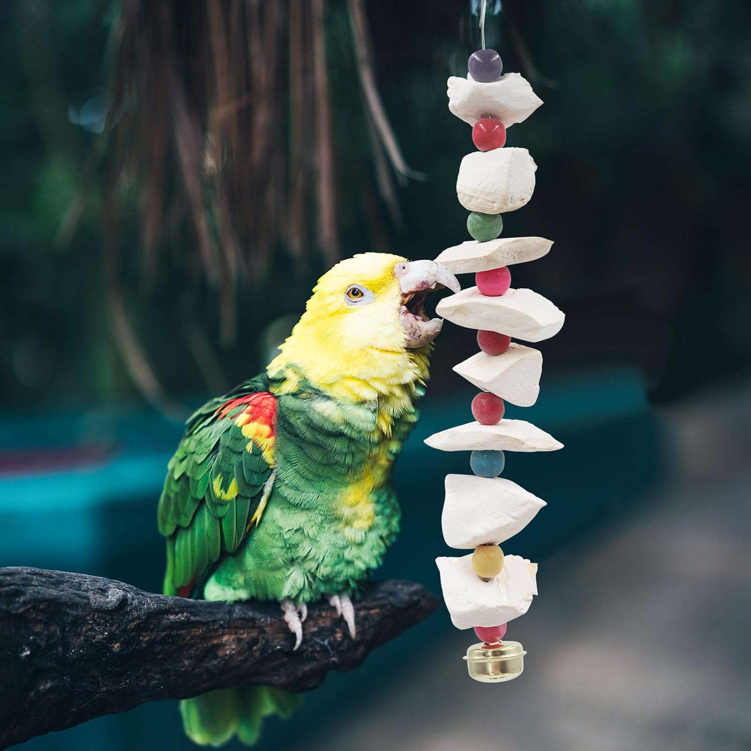 2 Pack Bird Toys with Cuttlebone, Parakeet Toys, Bird Beak Grinding Stone, Cage Accessories for Parakeets, Cuttlefish Bone for Budgies, Cockatiels, Lovebirds, Green Cheeks, Small to Medium Birds - Happypetzone.online - Image 6
