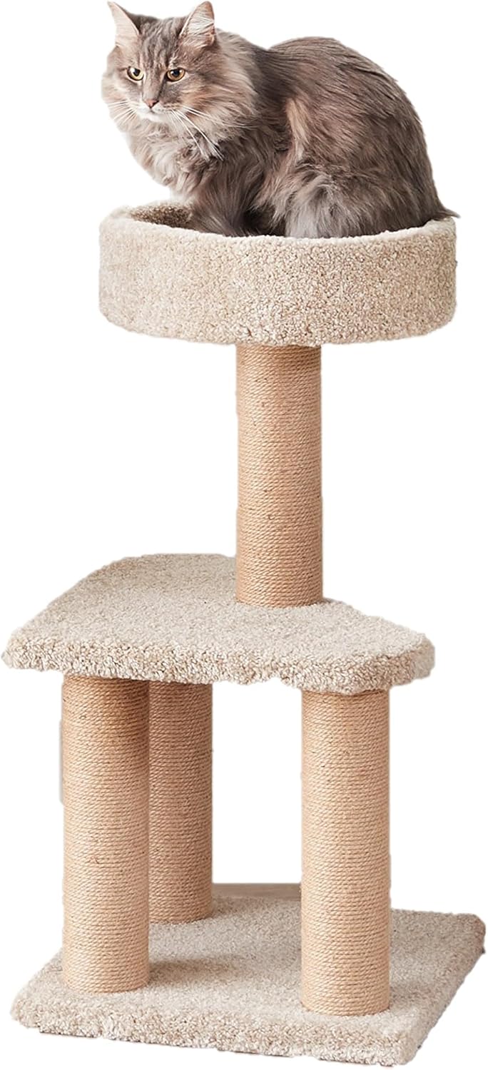 cheap cat tree amazon