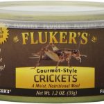 crickets for reptiles