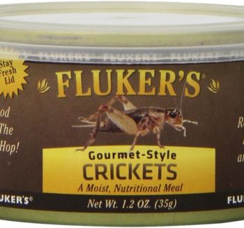 crickets for reptiles
