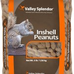 bird food amazon best