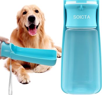 dog travel water bottle