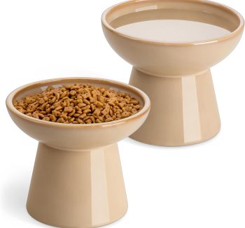cat food for senior cats