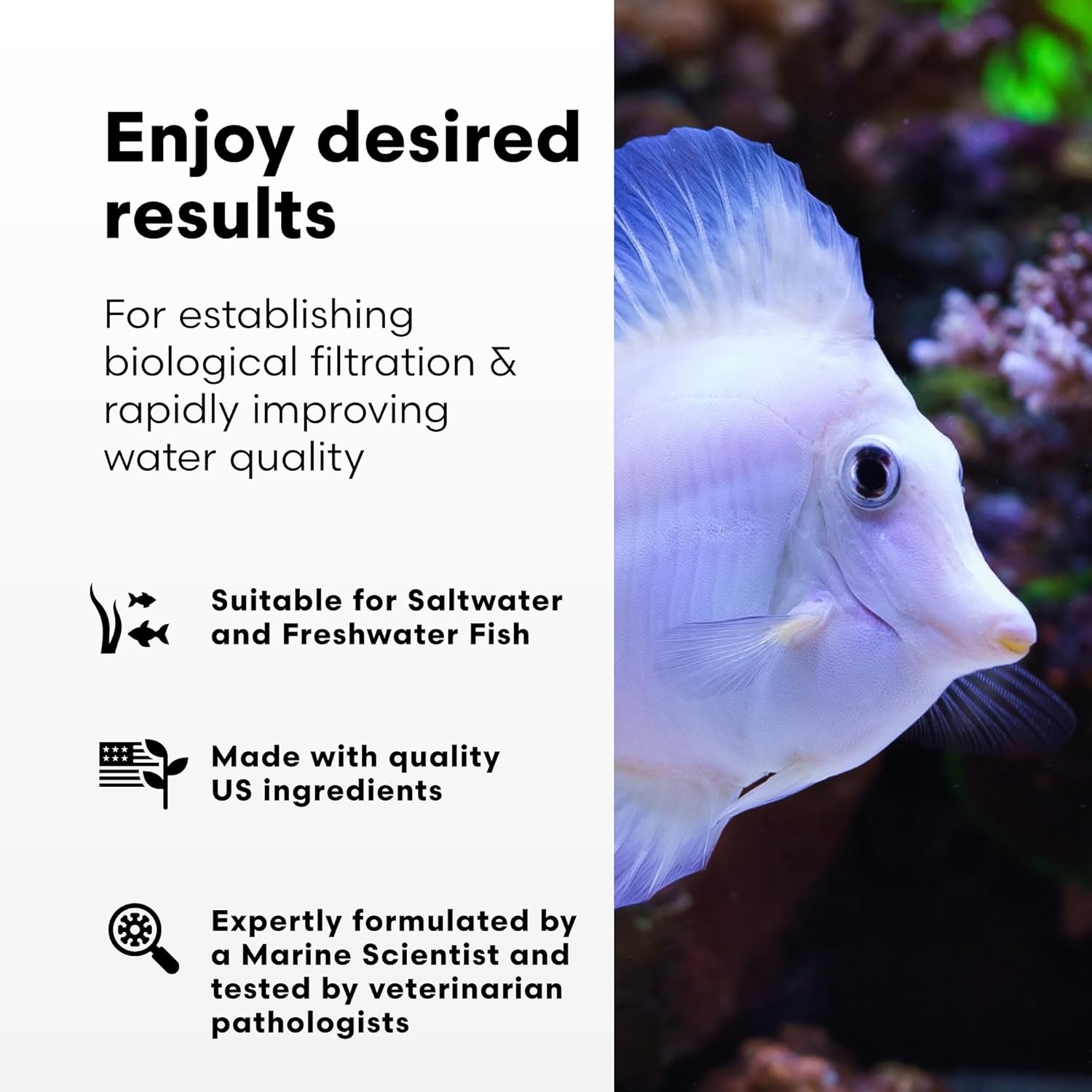 Brightwell Aquatics MicroBacter7 Complete Bioculture for Fish Tank or Aquarium - Populates Biological Filter Media for Saltwater and Freshwater Fish - Aquarium Water Treatments, 16.9 fl oz - Happypetzone.online - Image 3