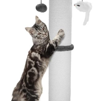 cat scratching post