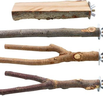 bird perch wood natural