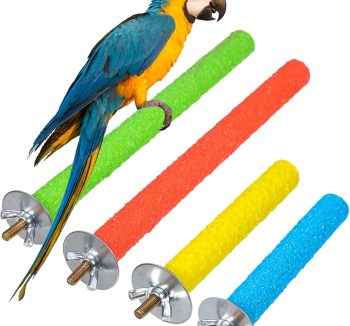bird perch for small birds