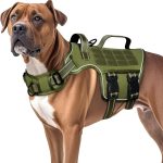 dog harness for large dogs