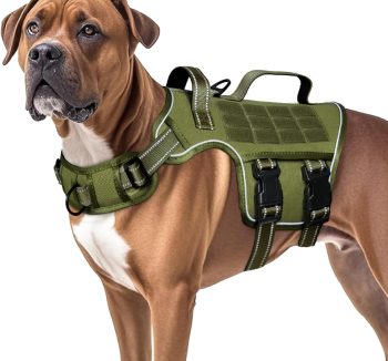 dog harness for large dogs