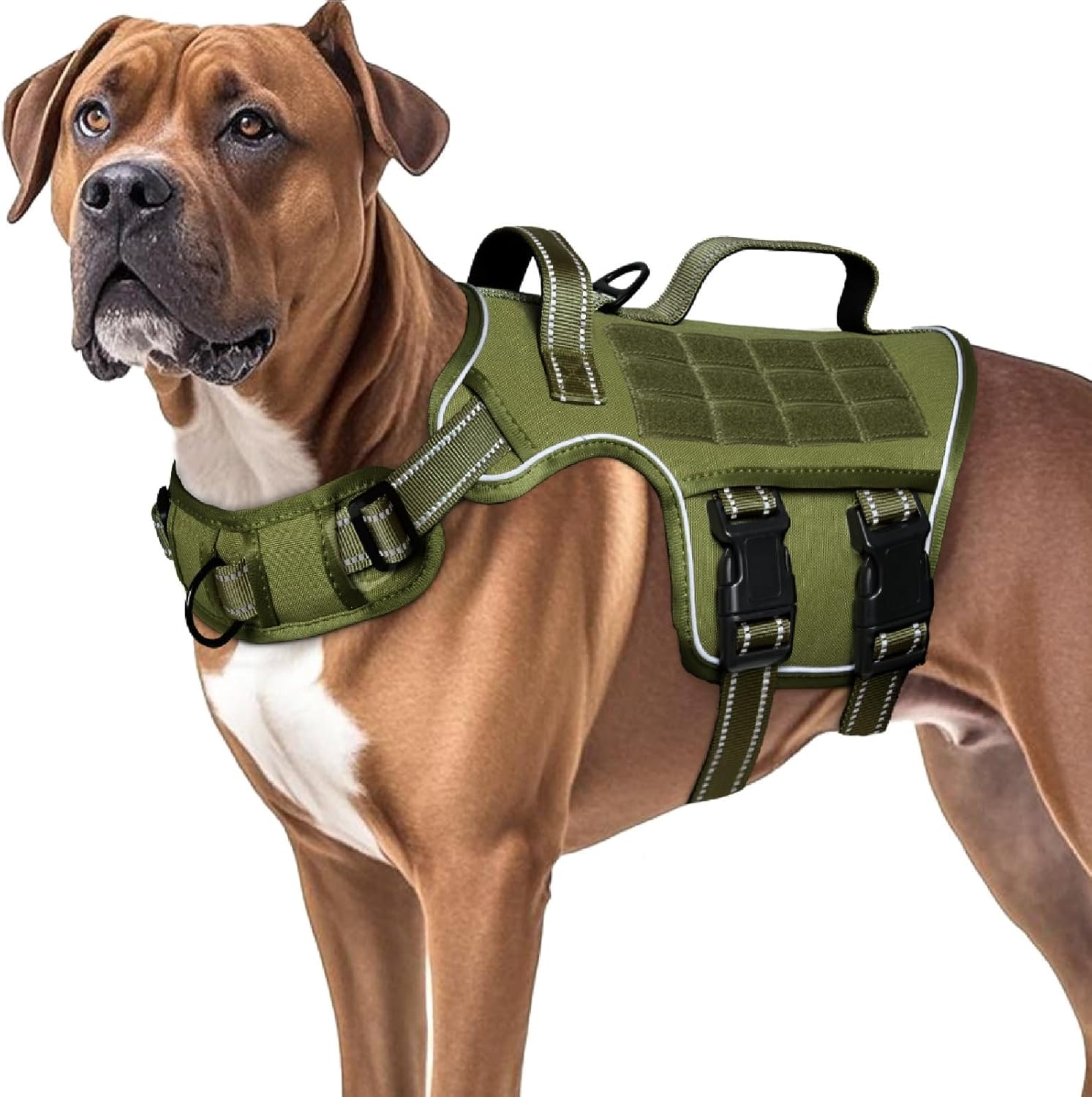 dog harness for large dogs
