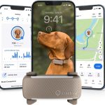 dog collar gps tracker