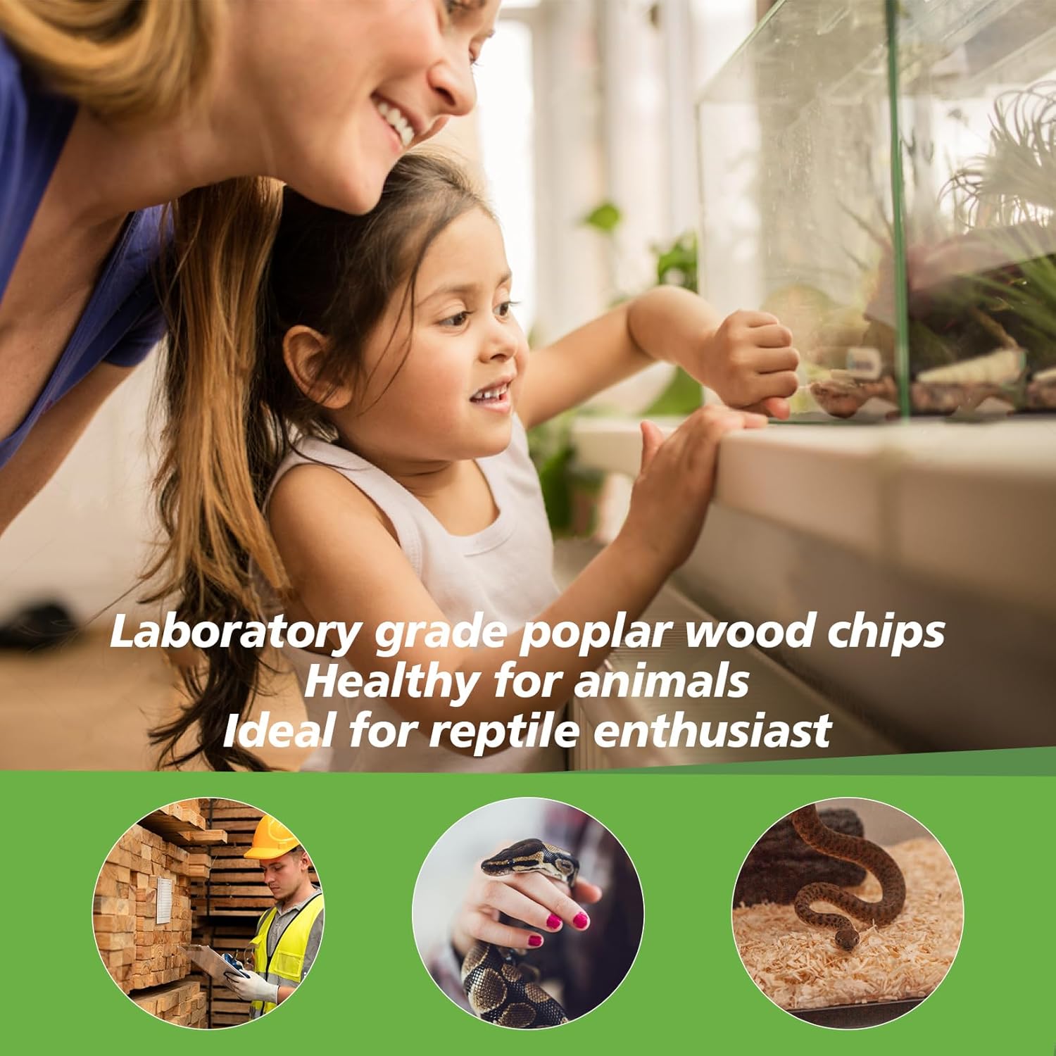 Sukh 14OZ Natural Aspen Shavings Reptile Bedding, Soft Wood Shavings Terrarium & Tank Substrate, Nesting Material for Snake, Lizard, Tortoise, Small Animal, Rabbit, Chicken & Bird - Happypetzone.online - Image 3