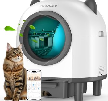 self cleaning litter box