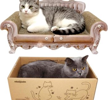 cat sofa for cats