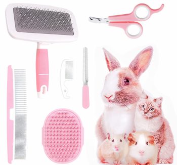 small pet accessories kit