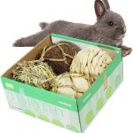 guinea pig treats vitamin c