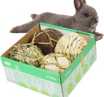 guinea pig treats vitamin c
