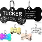 personalized dog collar