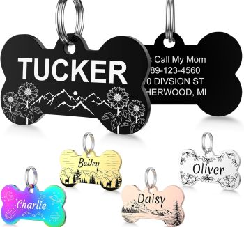 personalized dog collar