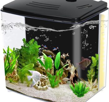 fish tank starter kit