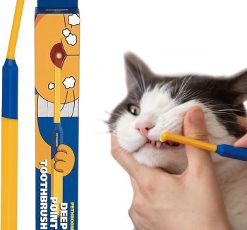 small pet dental care