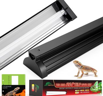 reptile lighting system