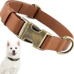 dog collar leather