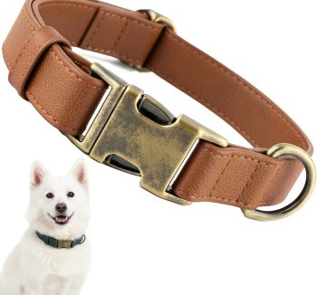 dog collar leather