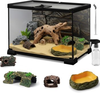 reptile habitat kit